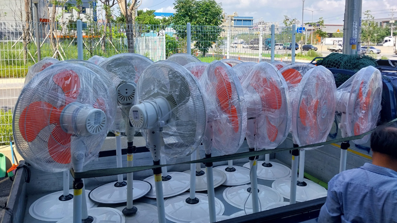 Ŵ�� ��Ż ��� ���� ����