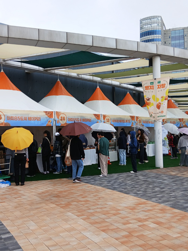 ������ ���������ڶ�